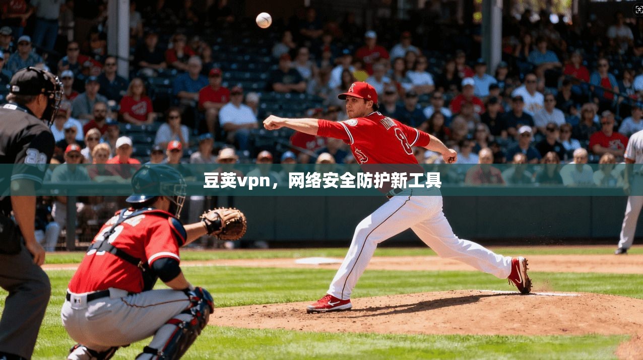 豆荚vpn,网络安全防护新工具