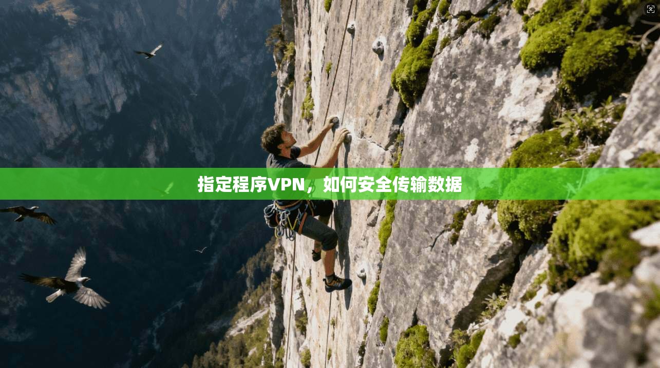 指定程序VPN，如何安全传输数据