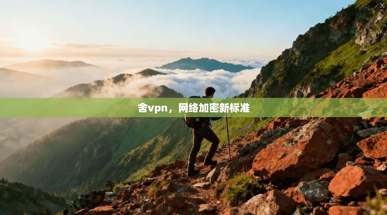 舍vpn，网络加密新标准