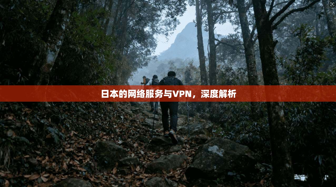 日本的网络服务与VPN，深度解析