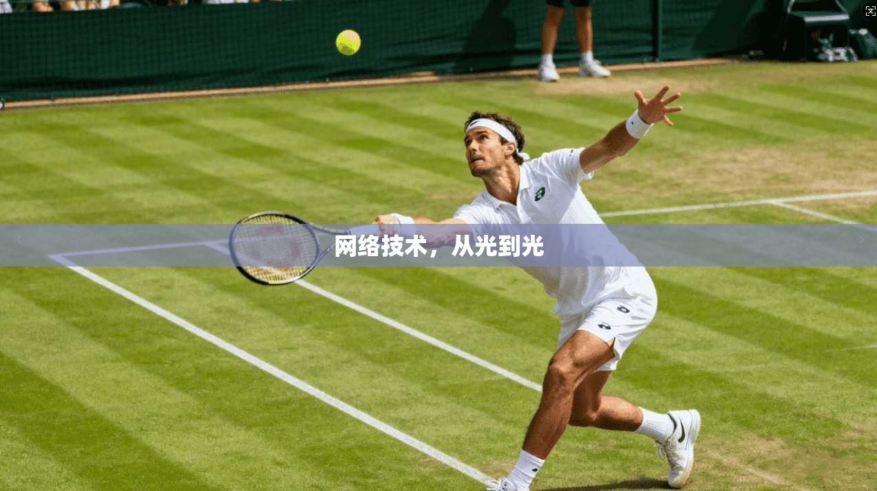 网络技术，从光到光