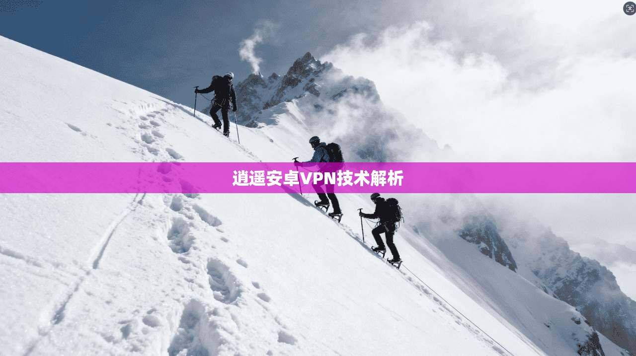 逍遥安卓VPN技术解析