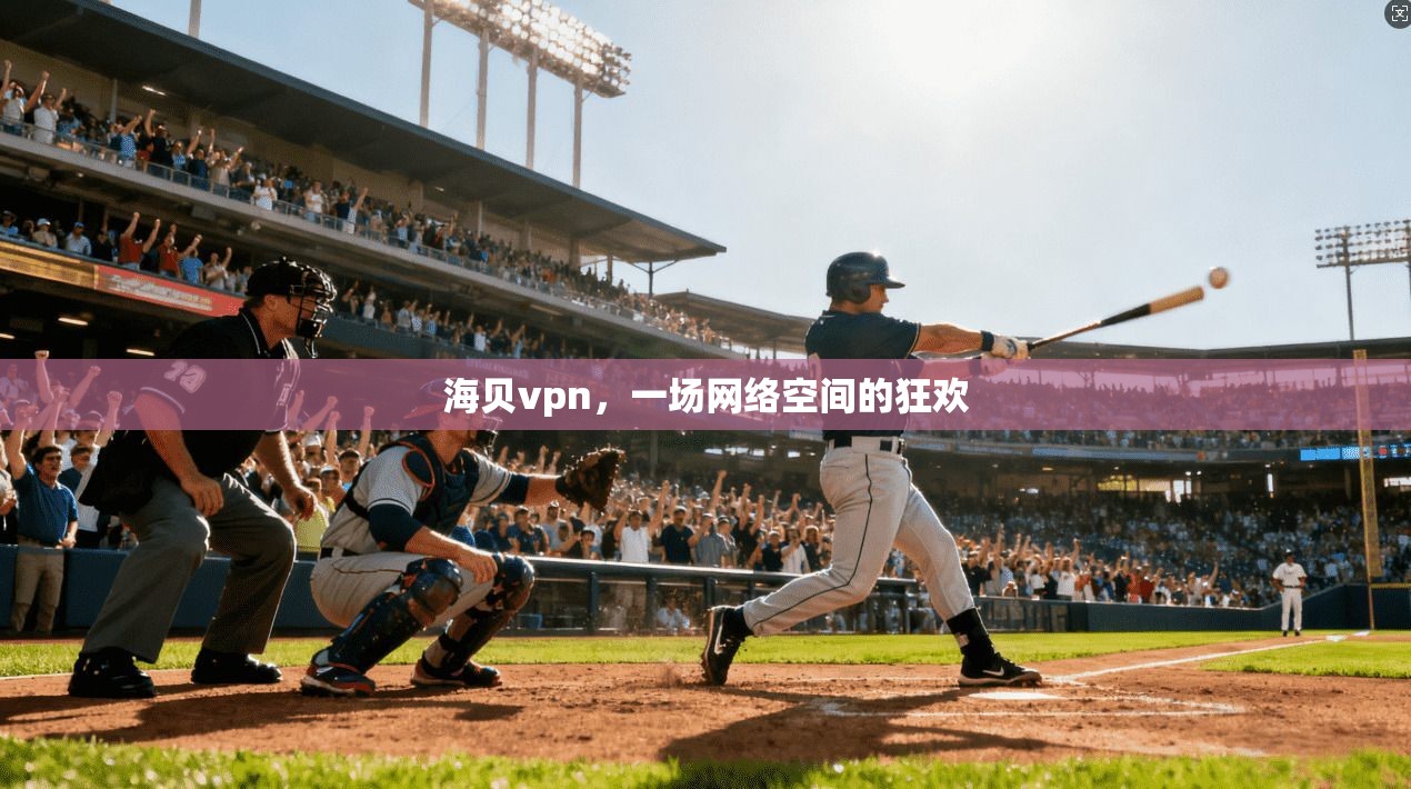 海贝vpn，一场网络空间的狂欢  第1张