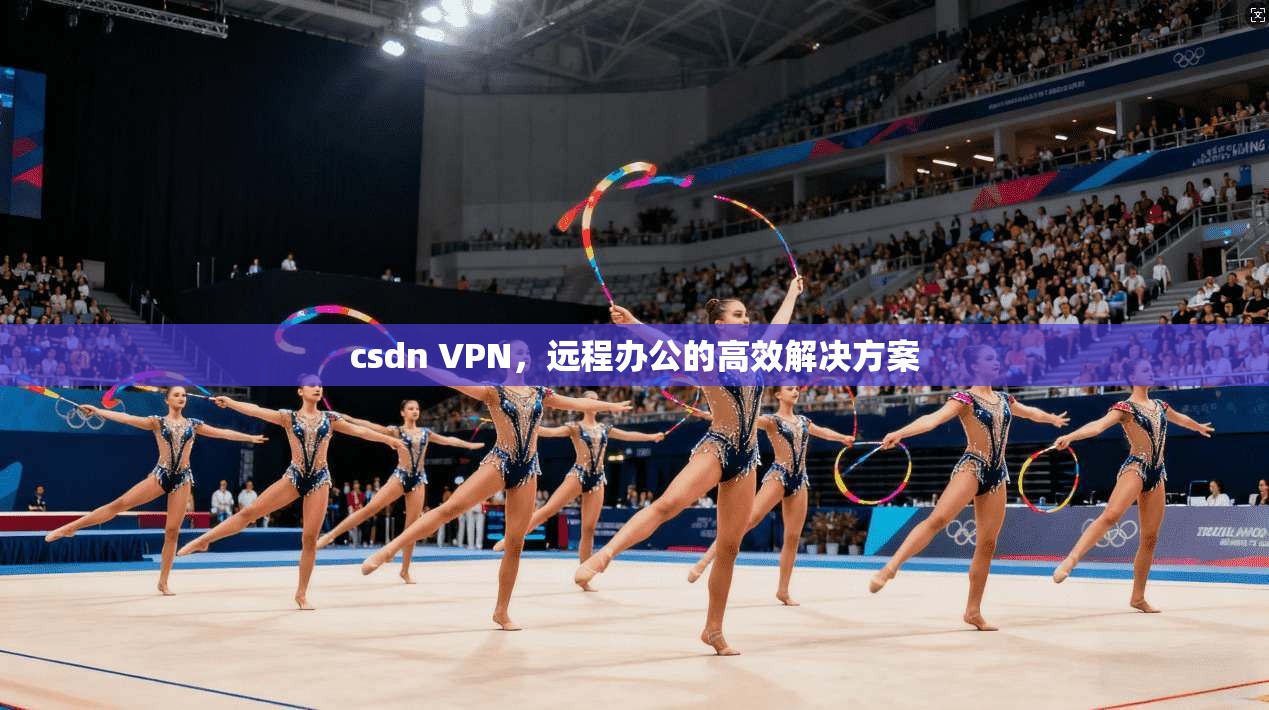 csdn VPN，远程办公的高效解决方案