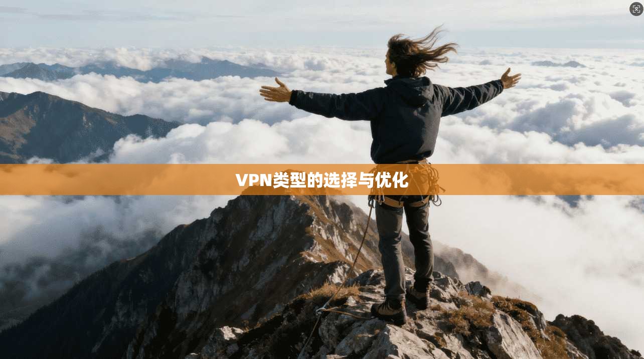 VPN类型的选择与优化