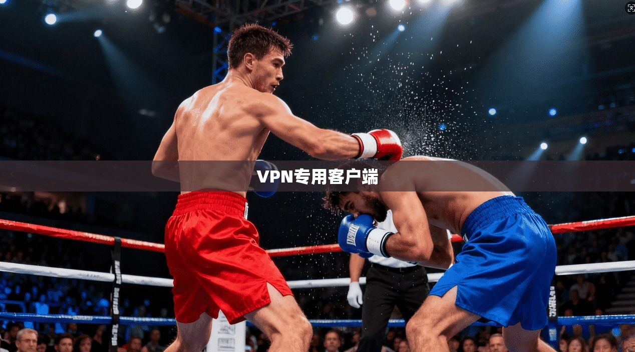 VPN专用客户端