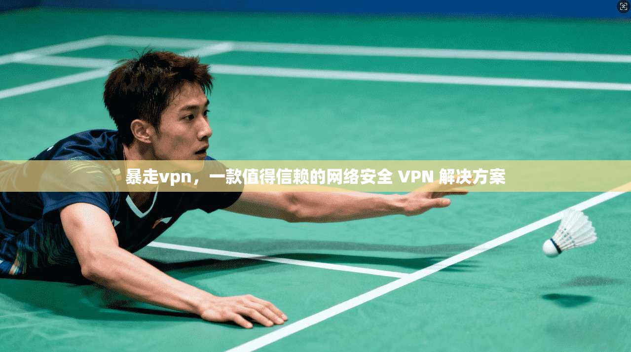 暴走vpn，一款值得信赖的网络安全 VPN 解决方案