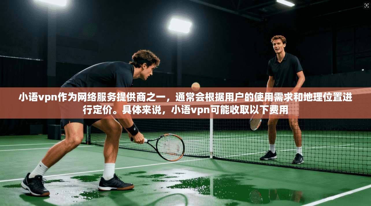 小语vpn作为网络服务提供商之一，通常会根据用户的使用需求和地理位置进行定价。具体来说，小语vpn可能收取以下费用