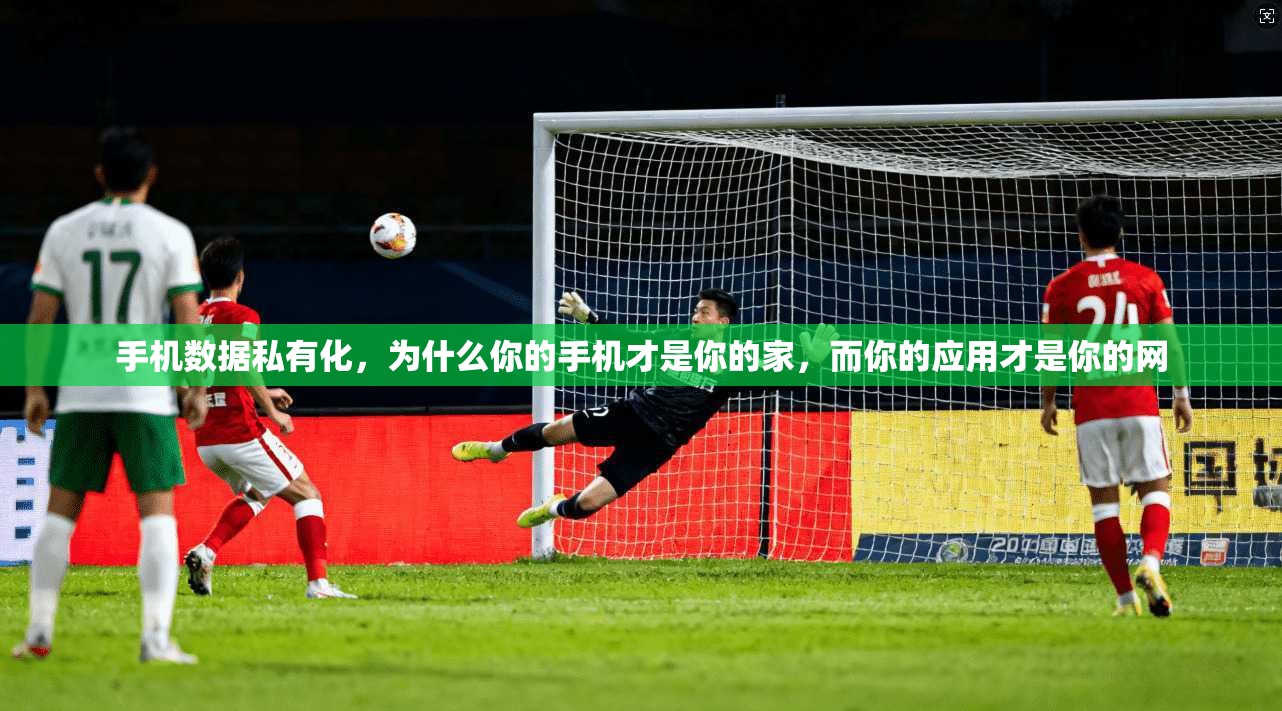 手机数据私有化,为什么你的手机才是你的家,而你的应用才是你的网