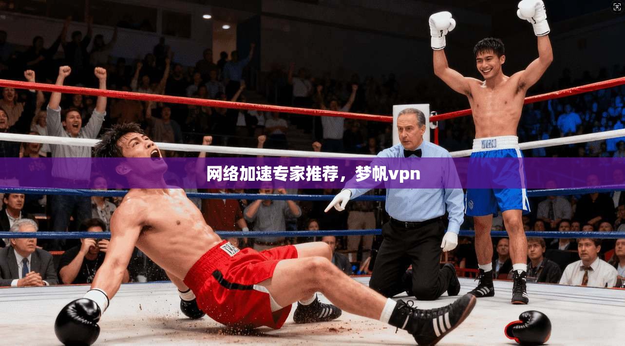 网络加速专家推荐，梦帆vpn