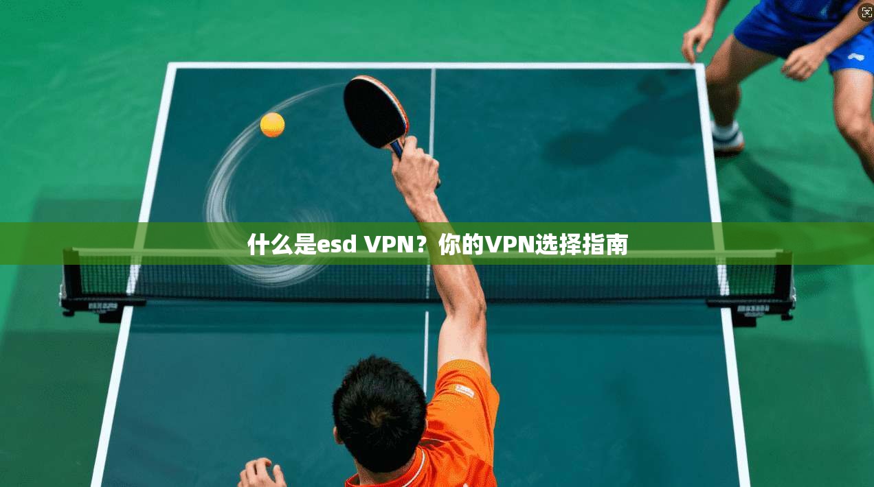 什么是esd VPN?你的VPN选择指南