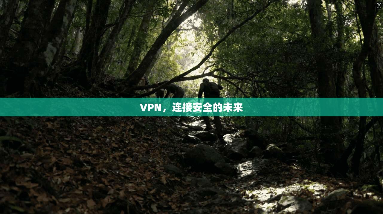 VPN,连接安全的未来