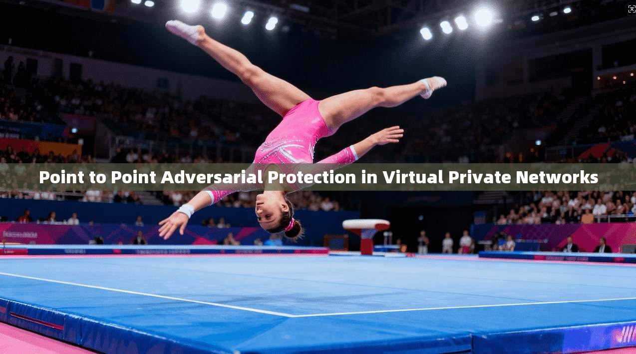 Point to Point Adversarial Protection in Virtual Private Networks