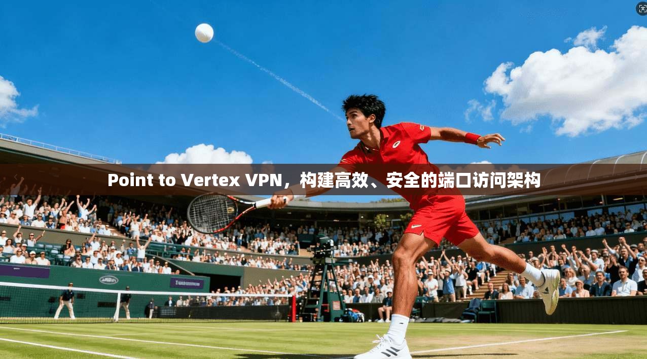 Point to Vertex VPN，构建高效、安全的端口访问架构