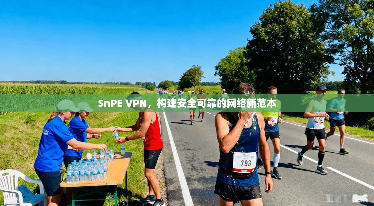 SnPE VPN，构建安全可靠的网络新范本