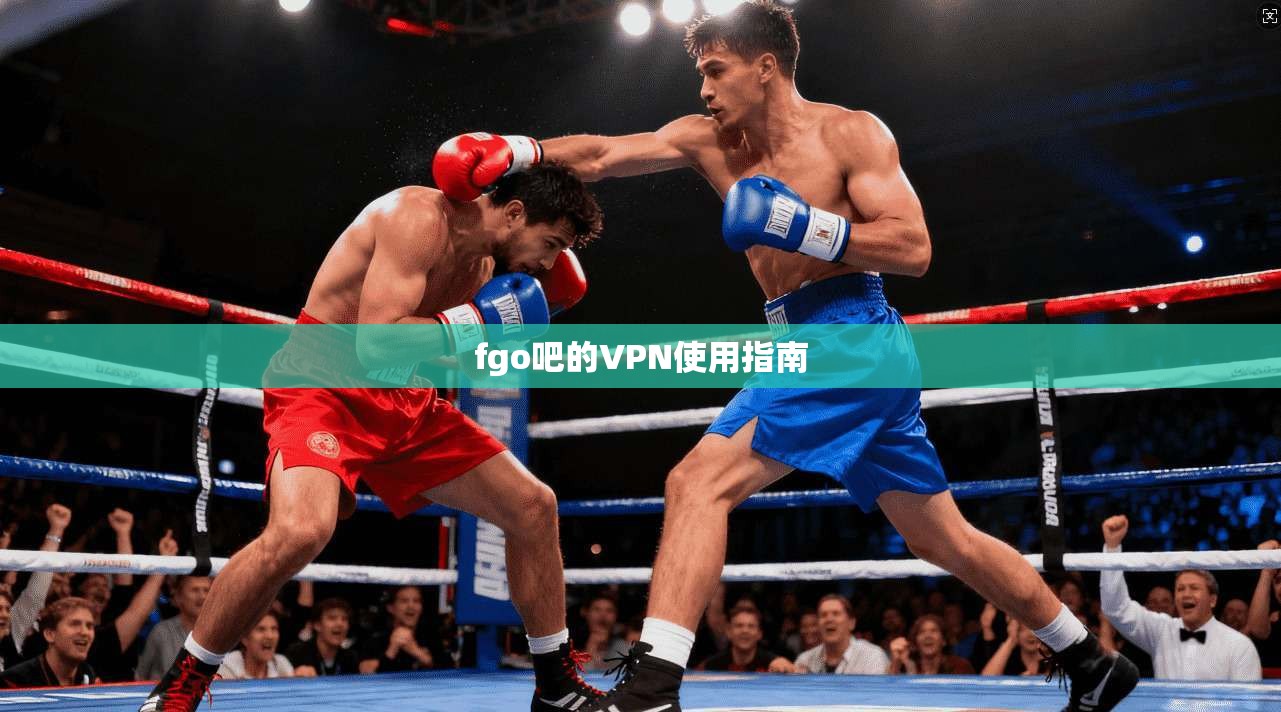 fgo吧的VPN使用指南