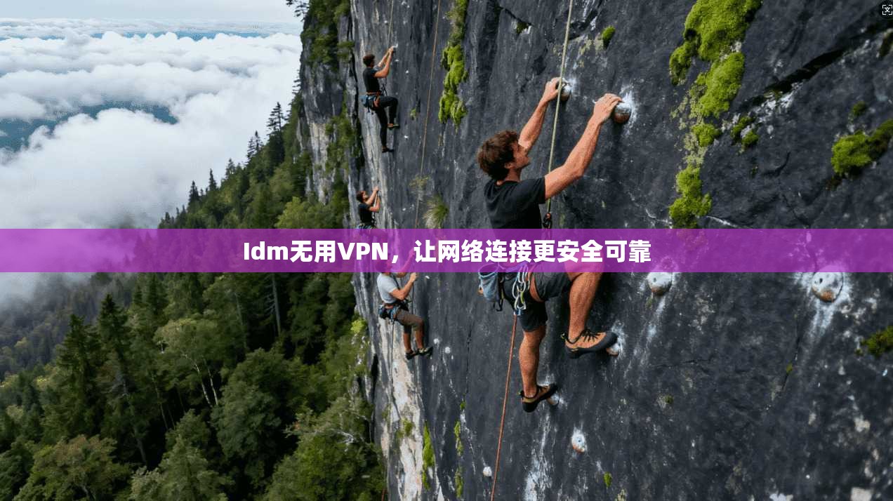 Idm无用VPN,让网络连接更安全可靠 第1张 Idm无用VPN,让网络连接更安全可靠 第1张