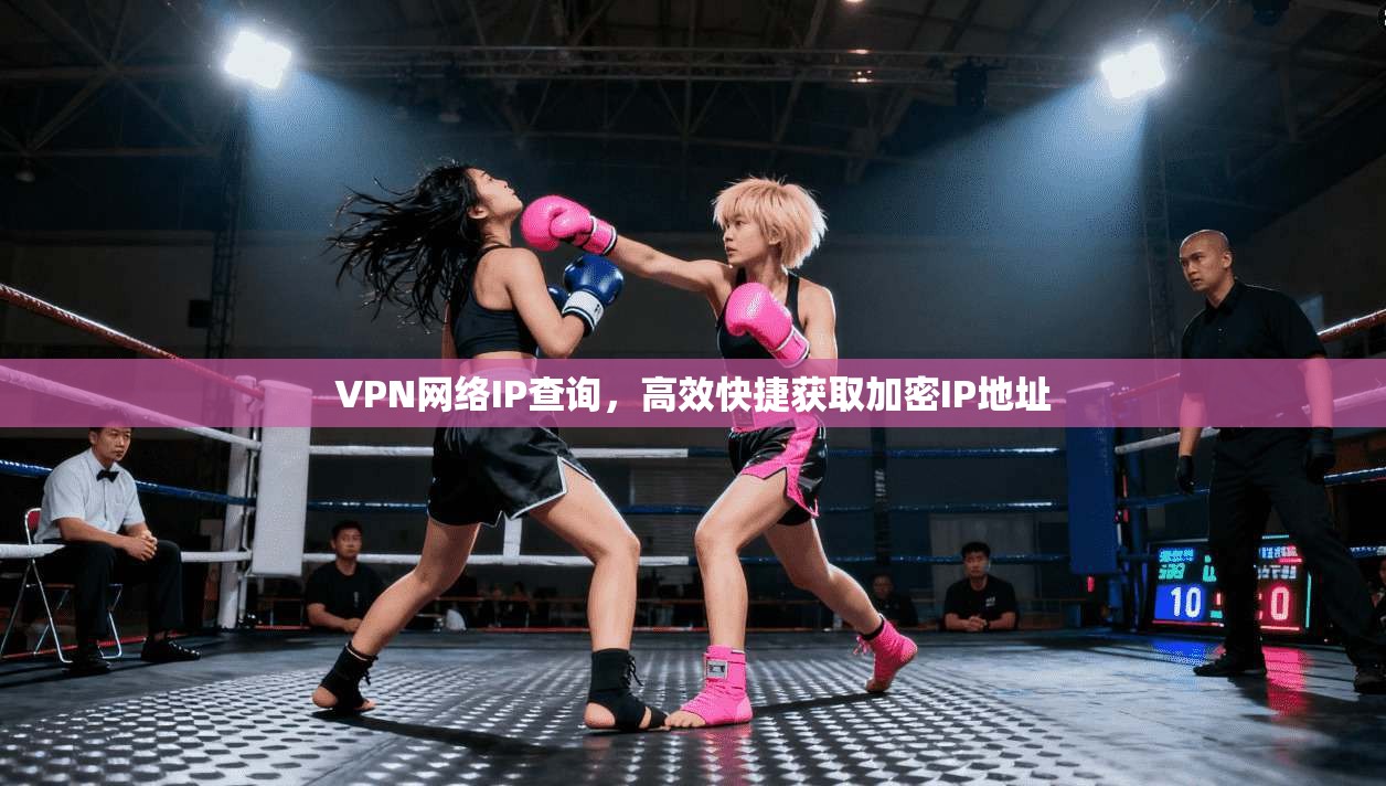 VPN网络IP查询，高效快捷获取加密IP地址