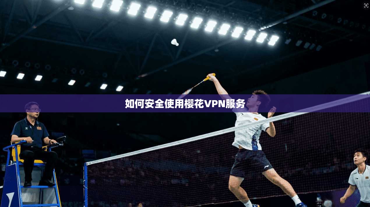 如何安全使用樱花VPN服务