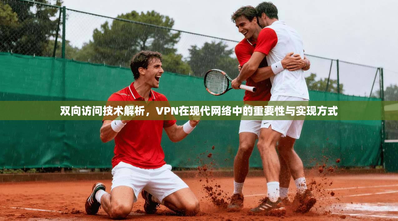 双向访问技术解析，VPN在现代网络中的重要性与实现方式