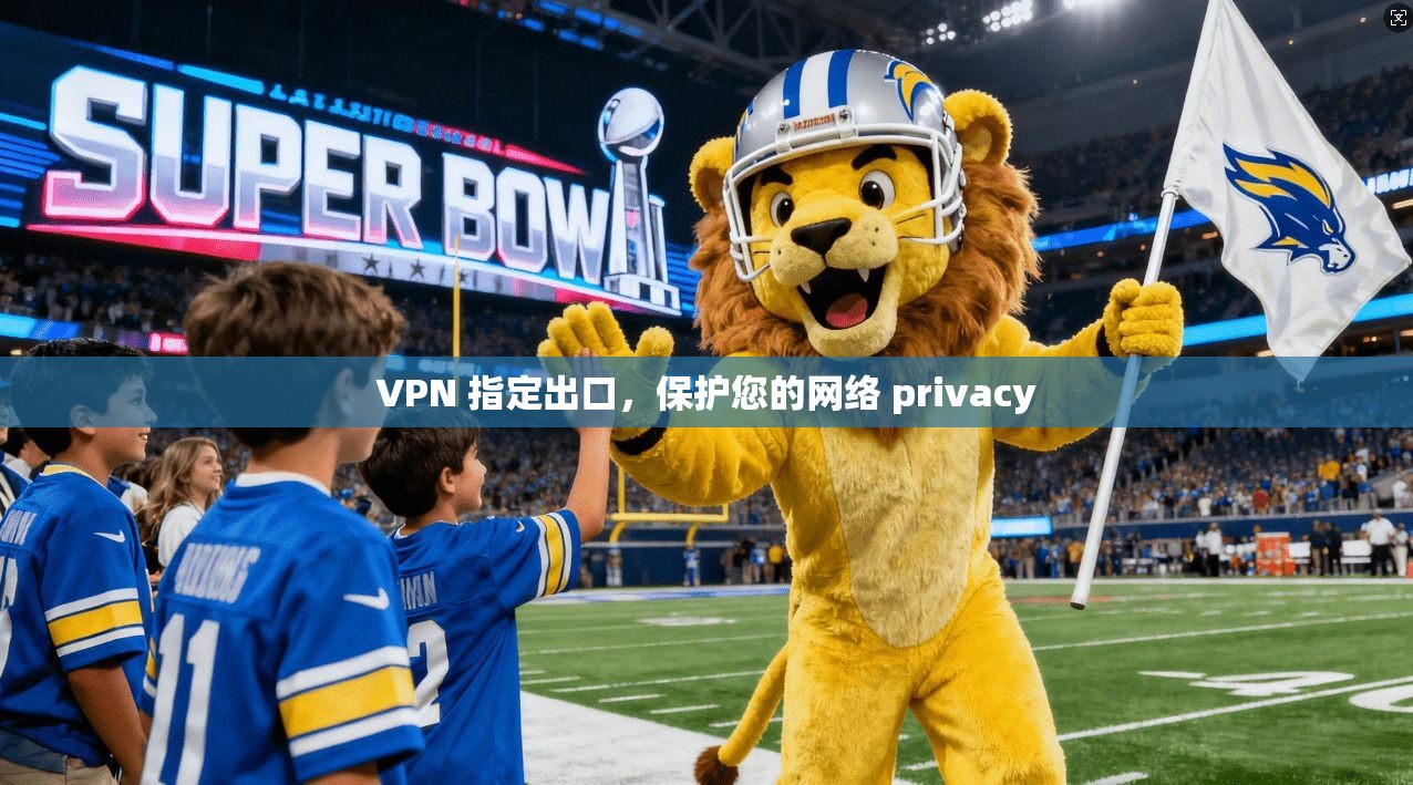 VPN 指定出口，保护您的网络 privacy