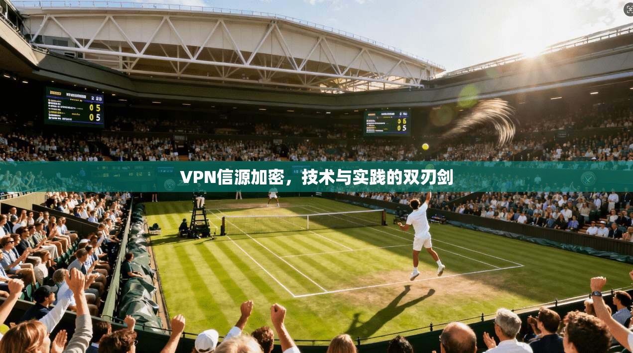 VPN信源加密，技术与实践的双刃剑