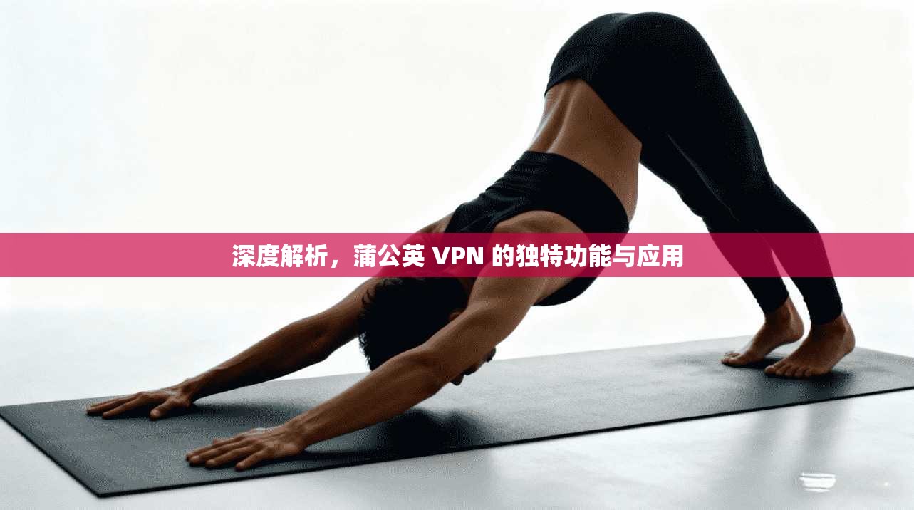 深度解析，蒲公英 VPN 的独特功能与应用