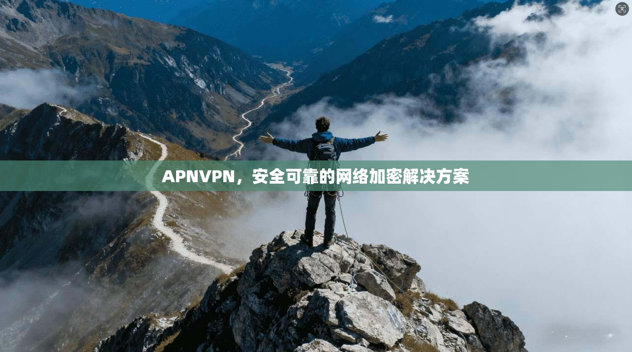 APNVPN，安全可靠的网络加密解决方案
