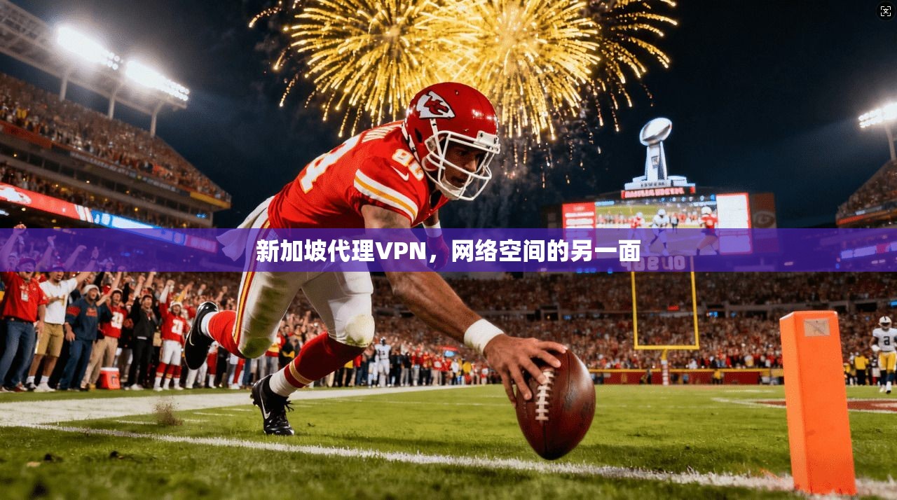 新加坡代理VPN，网络空间的另一面