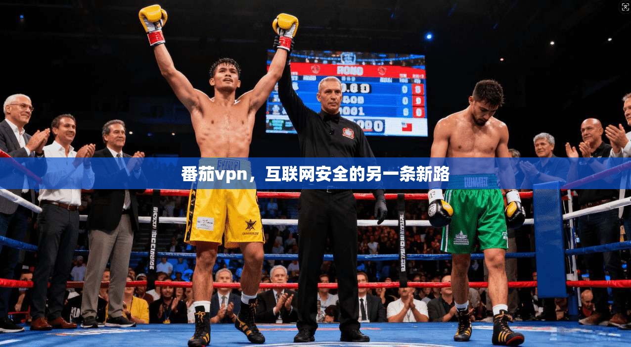 番茄vpn，互联网安全的另一条新路