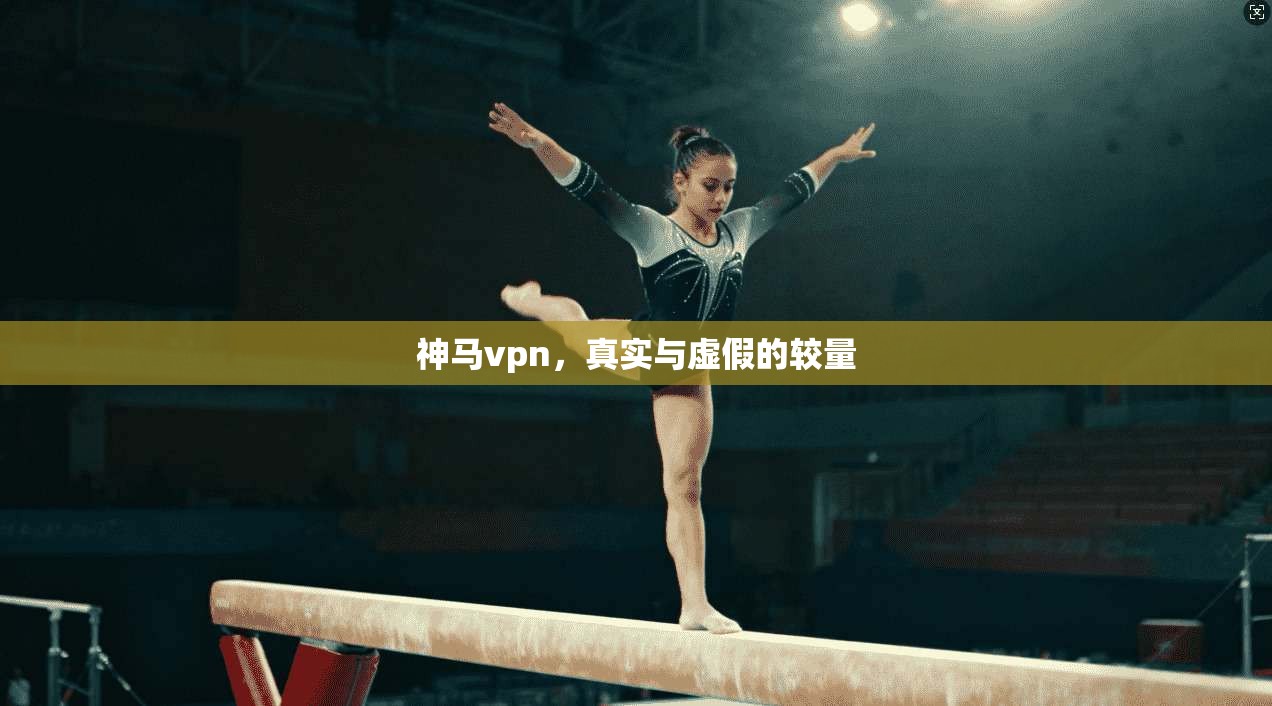神马vpn,真实与虚假的较量