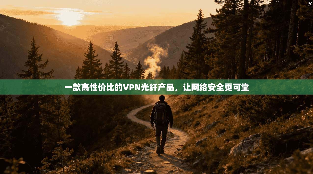 一款高性价比的VPN光纤产品，让网络安全更可靠