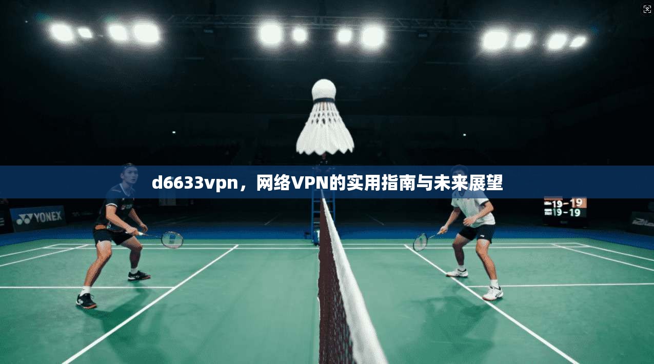 d6633vpn，网络VPN的实用指南与未来展望
