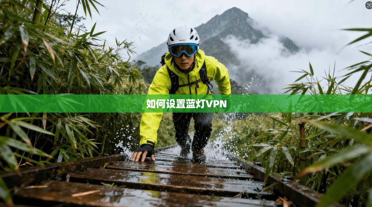 如何设置蓝灯VPN