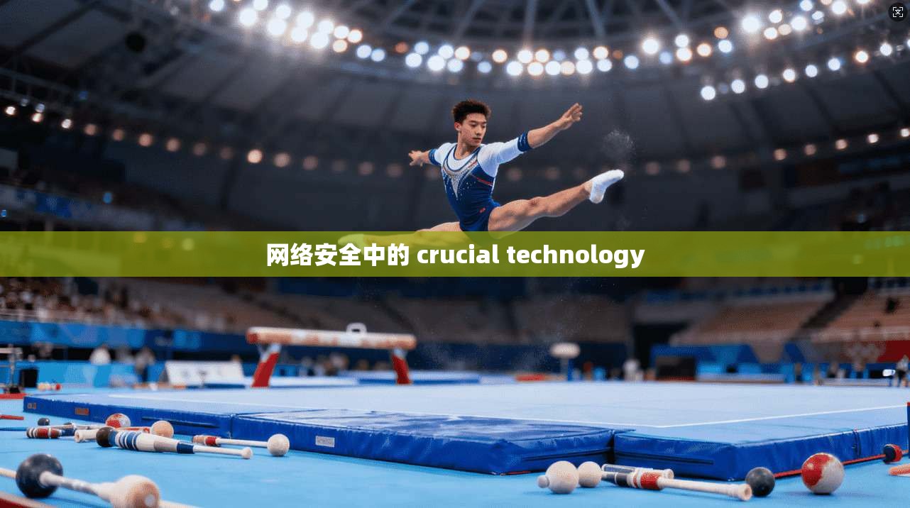 网络安全中的 crucial technology
