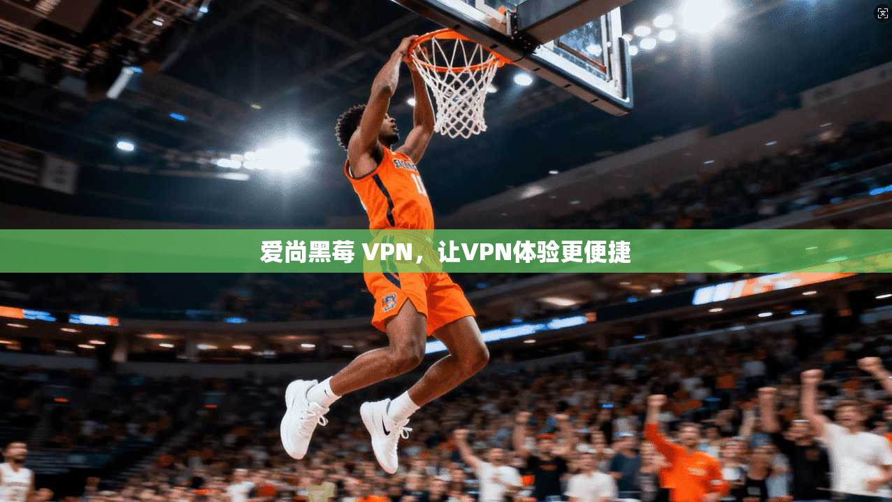 爱尚黑莓 VPN，让VPN体验更便捷