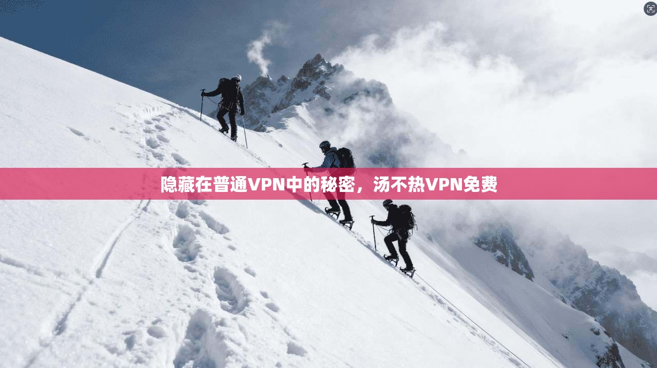 隐藏在普通VPN中的秘密，汤不热VPN免费