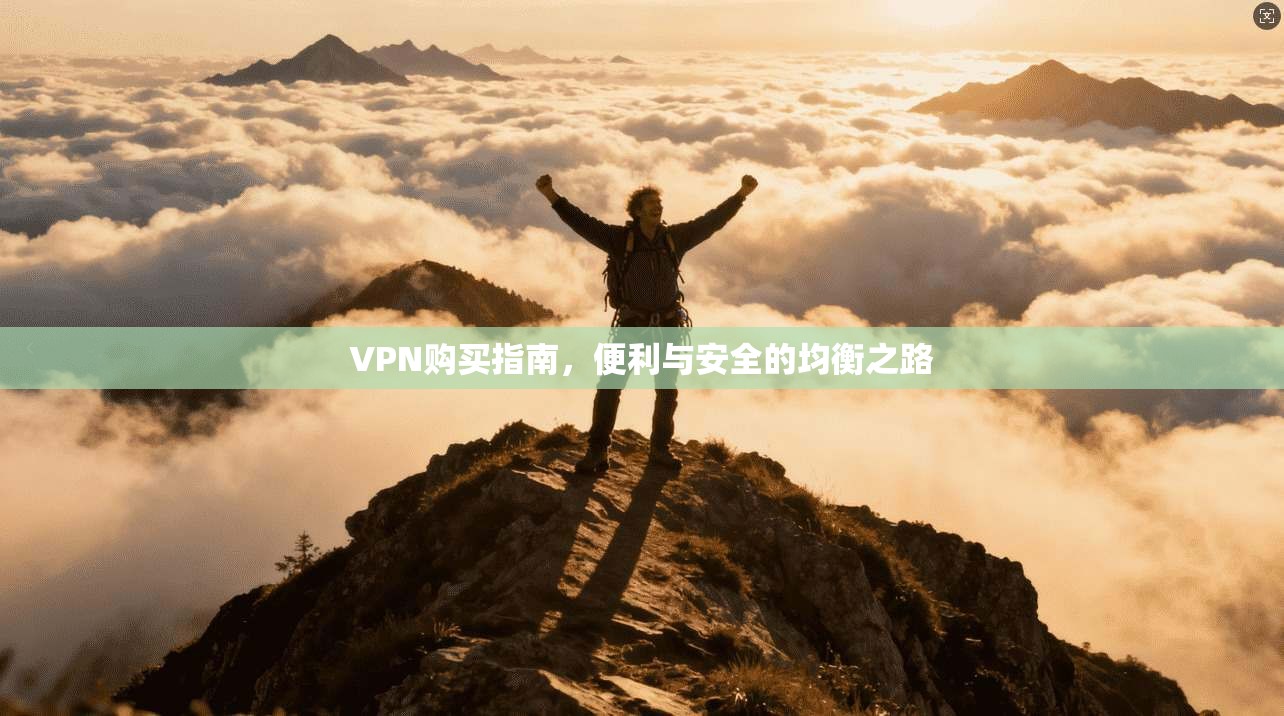 VPN购买指南,便利与安全的均衡之路