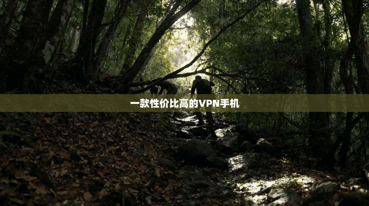 一款性价比高的VPN手机