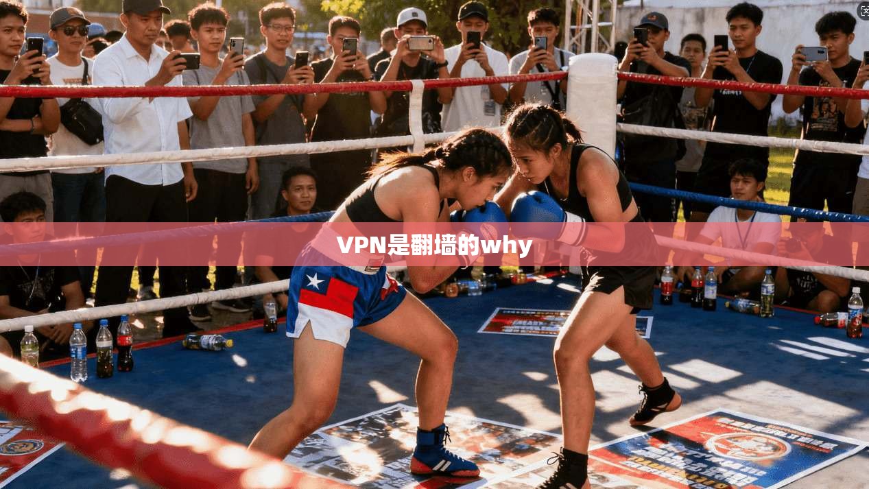 VPN是翻墙的why