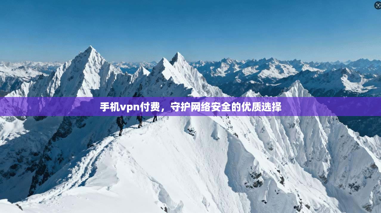 手机vpn付费,守护网络安全的优质选择