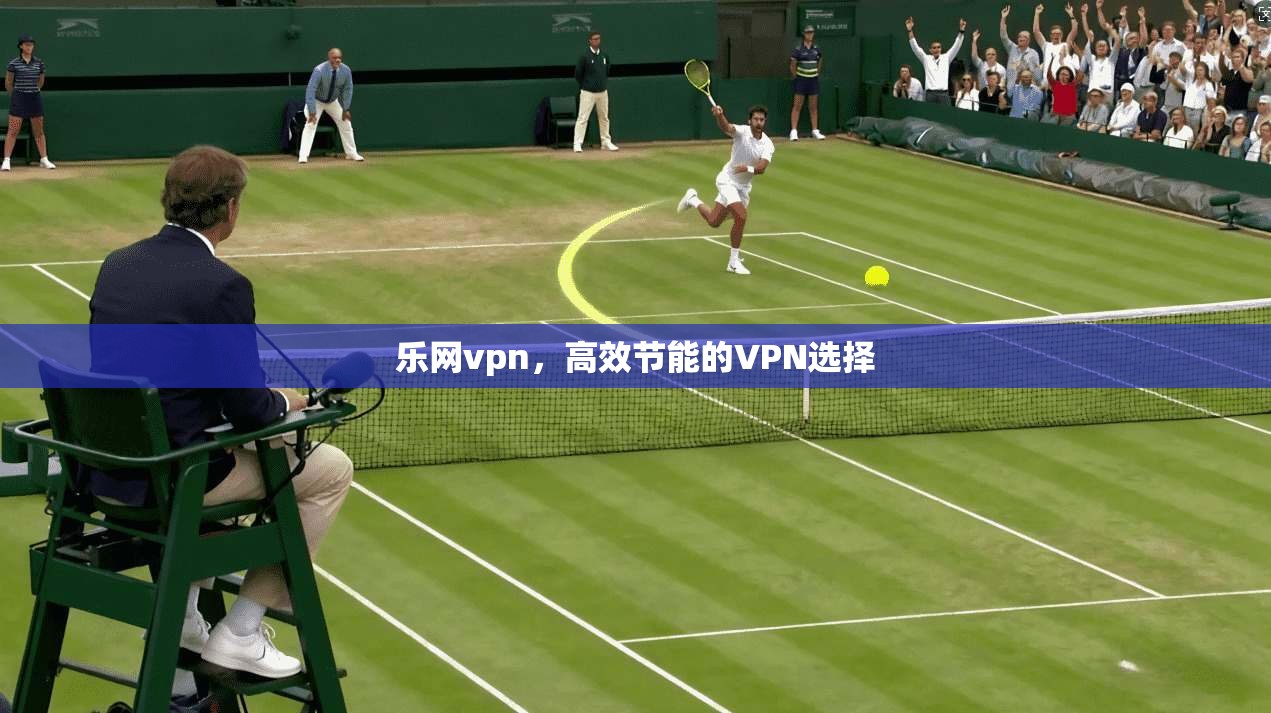 乐网vpn,高效节能的VPN选择