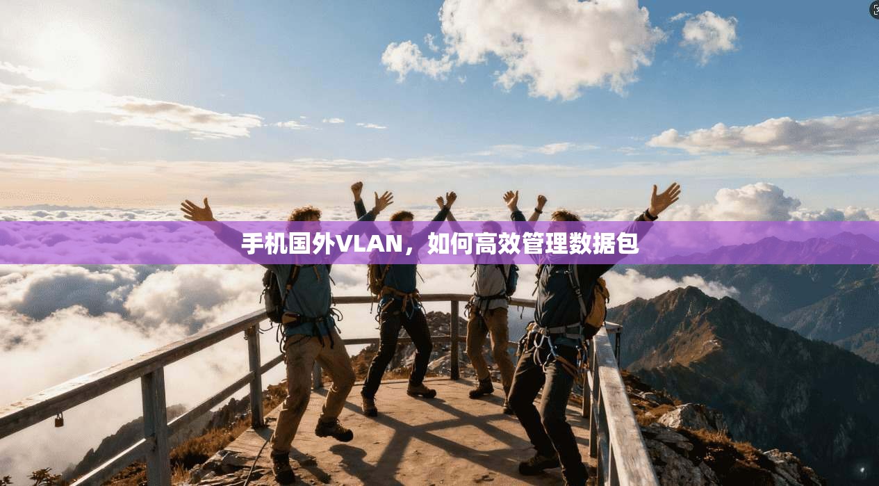 手机国外VLAN，如何高效管理数据包
