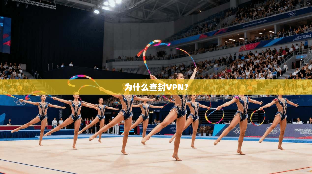 为什么查封VPN？