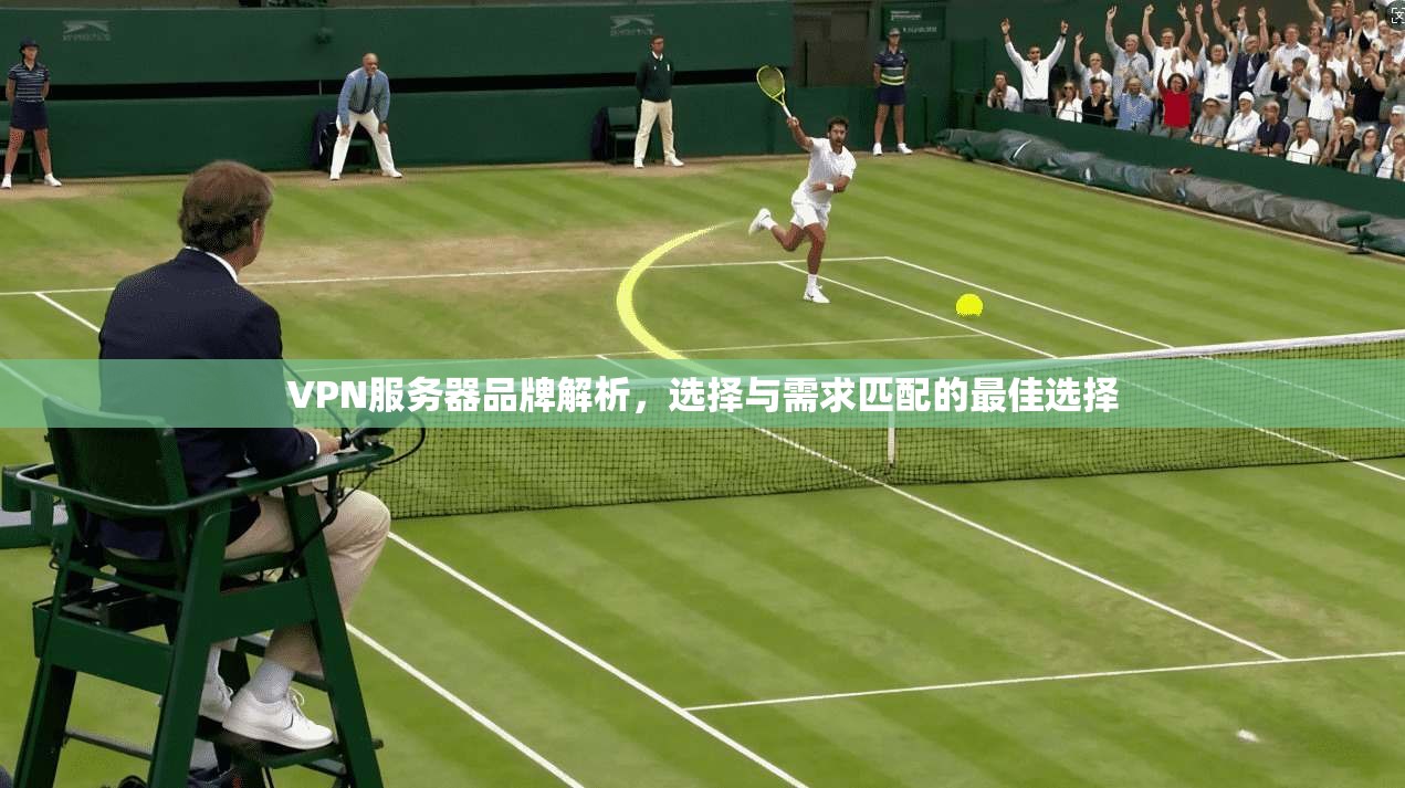 VPN服务器品牌解析，选择与需求匹配的最佳选择