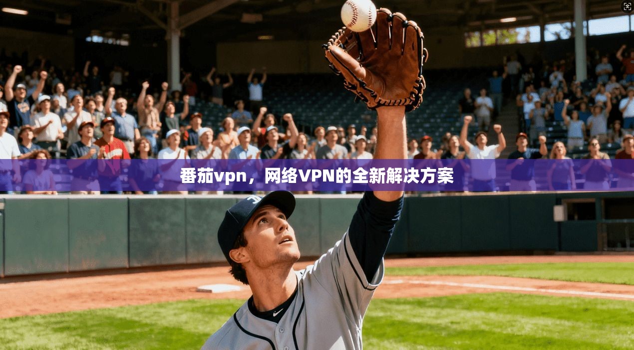 番茄vpn，网络VPN的全新解决方案