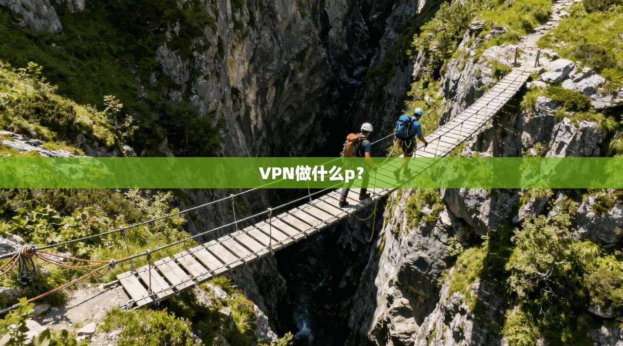 VPN做什么p？