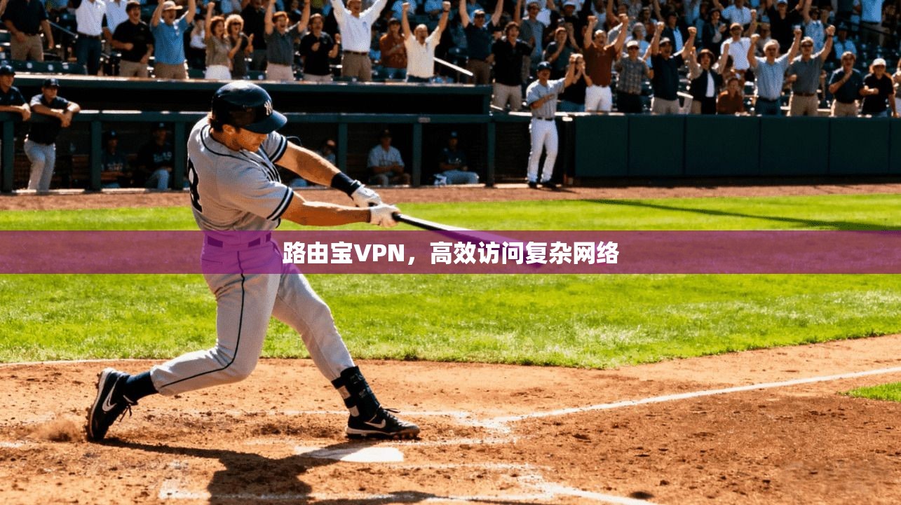路由宝VPN，高效访问复杂网络