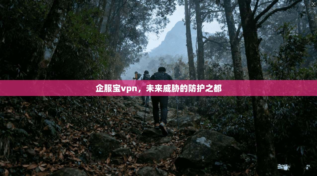 企服宝vpn，未来威胁的防护之都