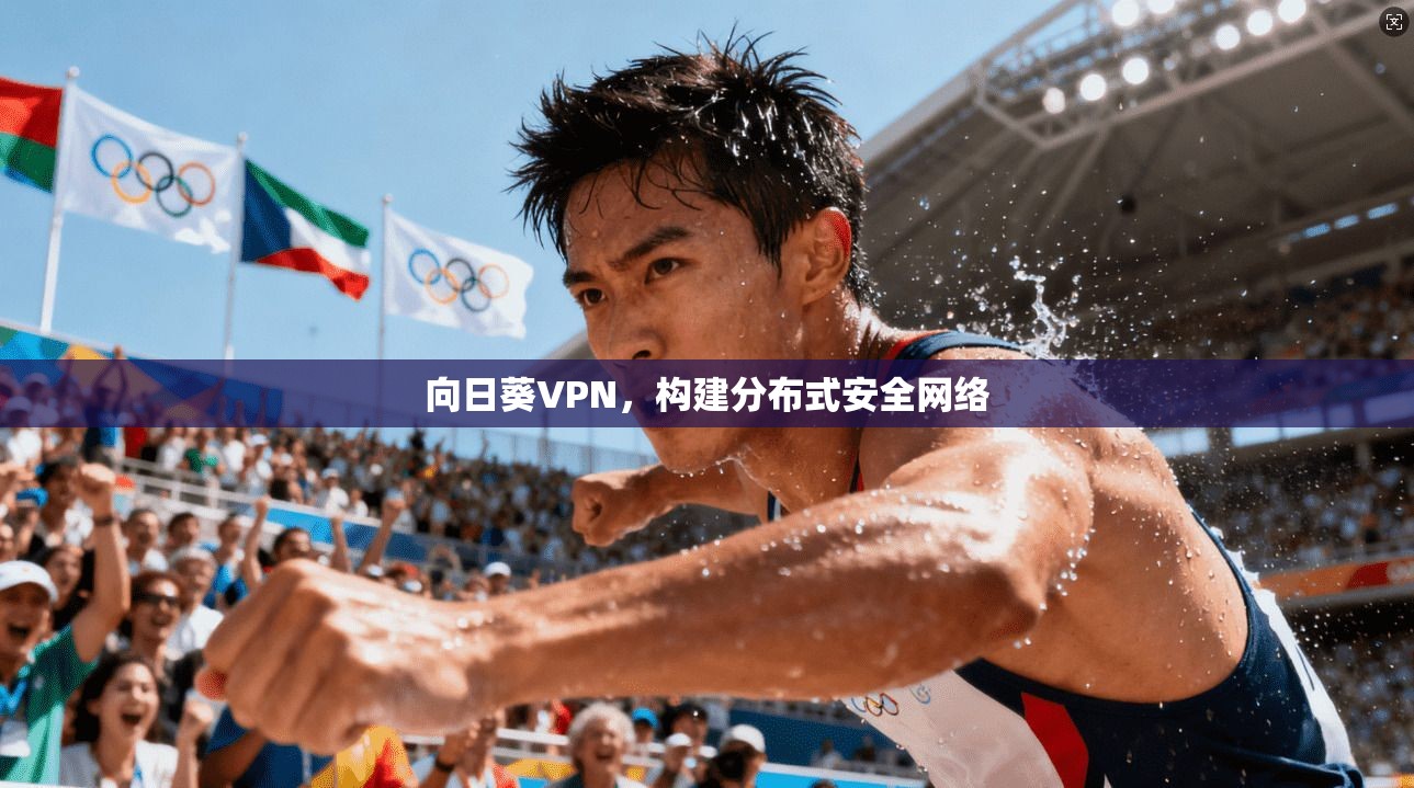 向日葵VPN，构建分布式安全网络